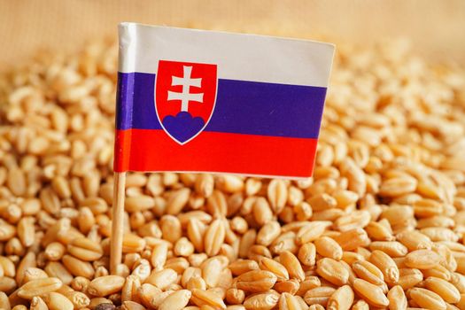 Slovakia on grain wheat, trade export and economy concept.