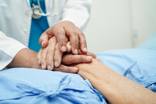 Doctor holding hands Asian elderly woman patient, help and care in hospital.