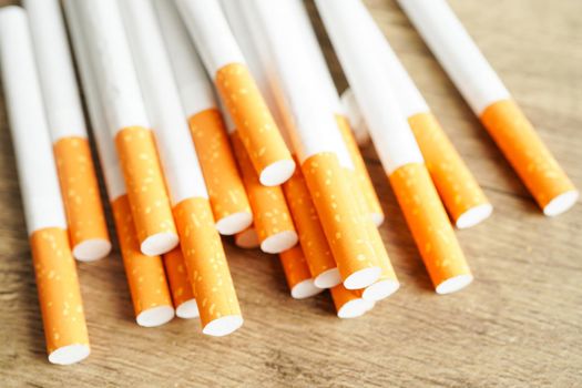 Cigarette, roll tobacco in paper with filter tube, No smoking concept.