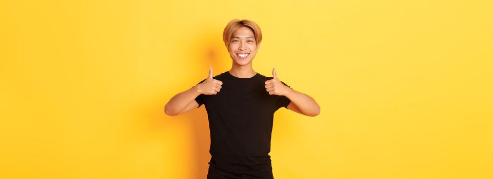 Portrait of satisfied handsome asian male student showing thumbs-up in approval, standing yellow background.