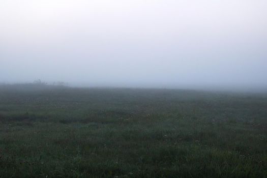 Thick fog in the field at dawn, nature photography