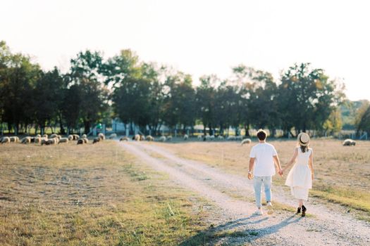 Man and woman holding hands walk along a country road. High quality photo