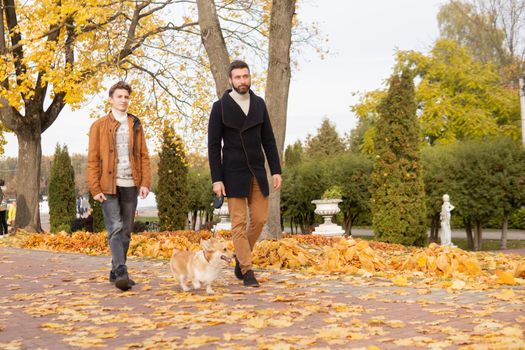 Father and son with a pet on a walk in the autumn park.