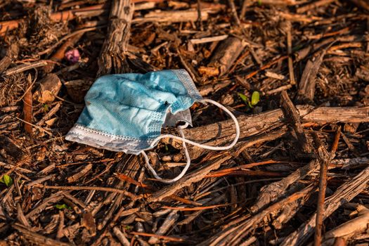 A surgical mask lies in the undergrowth of a nature reserve and pollutes nature