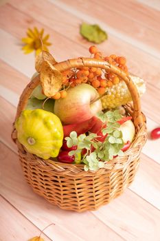 Autumn harvest basket with corn, apples, zucchini and peppers on a wooden background decorated with autumn leaves and mountain ash