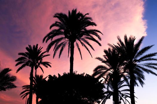 Spectacular sunset with pink clouds in southern Spain