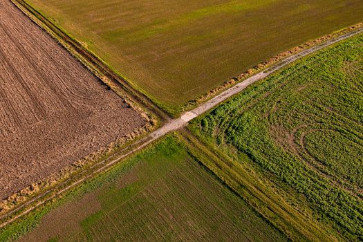 Aerial view of a paved path and a farm road that form a cross between fields