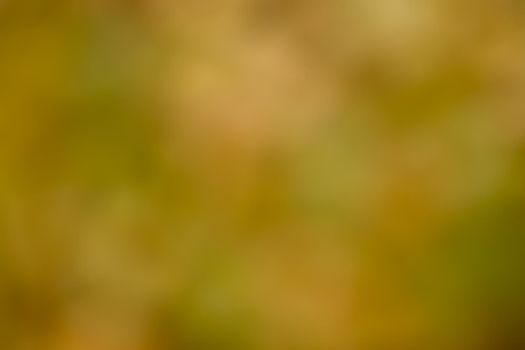 Yellow and red autumn leaves make a nice green background as a blurred photo to be used as a template for a message