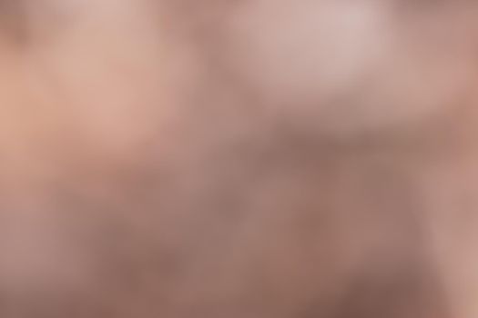 Blurred background with natural light brown colors with a gradient of white and brown from a blurry photo from the garden in autumn