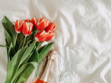 Bunch of red tulips, rose wine and champagne glasses on white bed sheets. Valentines day, date, march 8 concept. Spring flowers and bottle. Top view or flat lay. Copy space
