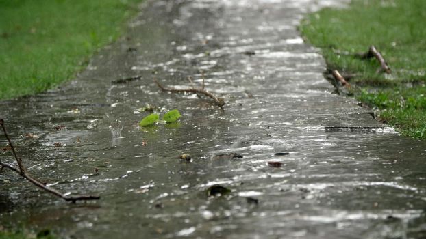 close-up, rain dripping onto the path. summer rain, a thunderstorm, a heavy downpour at the recreation center, in a pine forest, park. water flows down in large drops. High quality photo