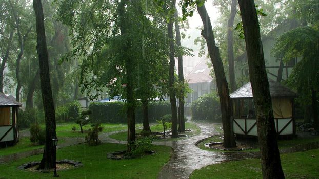 summer rain, a thunderstorm, a heavy downpour at the recreation center, in a pine forest, park. water flows down in large drops. High quality photo