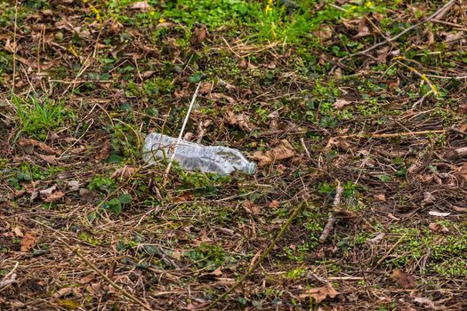 A plastic bottle pollutes the natural environment in Europe