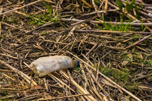 A plastic drinking bottle was thrown away and is slowly rotting in a body of water