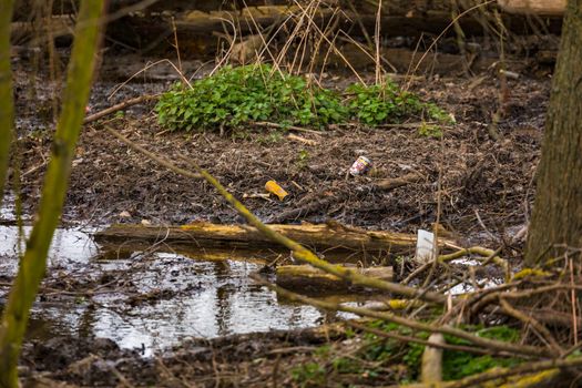 Plastic and soda cans pollute a small river