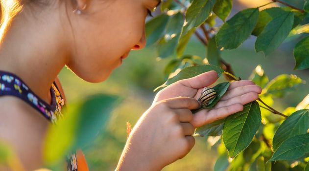 A child is studying a snail in the park. Selective focus. Nature.