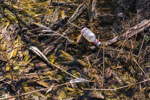 A plastic bottle pollutes a stream in a nature reserve