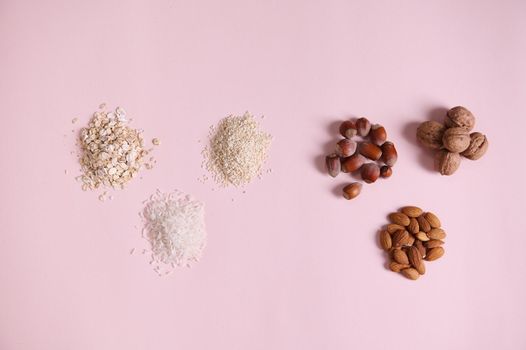 Flat lay still life. Assortment of wholesome organic seeds, nut, beans: almond, hazelnut, walnut, sesame, rice and oatmeal. Raw Vegan Plant Milk Ingredients. Veganism. Healthy eating. Pink background