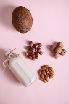 View from above. Flat lay. Still life with vegan, plant based, non dairy milk in a bottle with scattered wholesome ingredients: coconut, hazelnuts, almond nuts, walnuts on pink background. Copy space