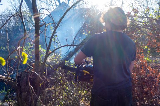 Man pruning and sawing apple tree using chainsaw. farmer sowing the dry branches of apple trees