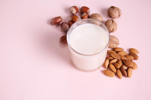 Close-up. Still life. Glass of healthy nutritious raw vegan plant based milk and assortment of nuts, almonds, walnuts and hazelnuts. Isolated on pink background. Copy advertising space. Vegetarianism