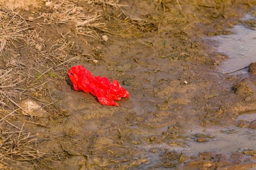 Pollution from a discarded plastic bag in nature