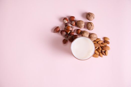 Flat lay. Still life. Glass of healthy nutritious raw vegan plant based milk and assortment of nuts, almonds, walnuts and hazelnuts. Isolated on pink background. Copy advertising space. Vegetarianism