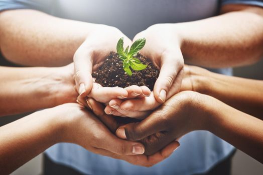 Things grow when its in the right hands. a group of hands holding a plant growing out of soil