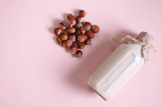 Still life with a plant based milk in a glass bottle, alternative non dairy drink and a heap of organic wholesome hazelnuts on a pink background with advertising copy space. Healthy food and drink