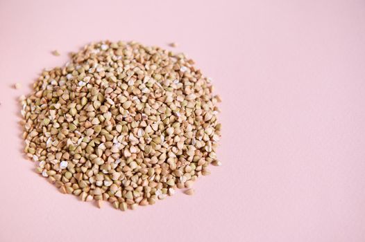 Selective focus on a heap of natural green raw not steamed buckwheat groats, grains. Ecologically clean healthy food. Gluten and GMO Free. Top view. Close-up, isolated on pink background. Vegan food