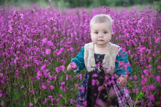 blond baby in a colored dress standing in a field with purple flowers