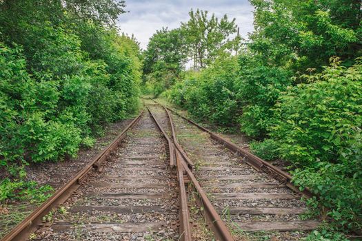 two rusty abandoned Railways on rotten wooden railway sleepers combined in one in the forest