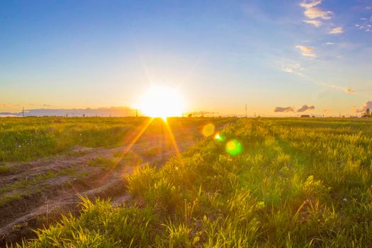 Very Beautiful Rural Landscape of Sunset on field with Bright Glare of The Sun.
