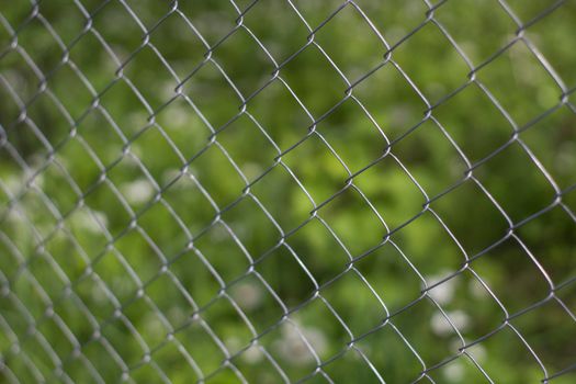 Rabitz Grid Close up on Green Background of Garden.