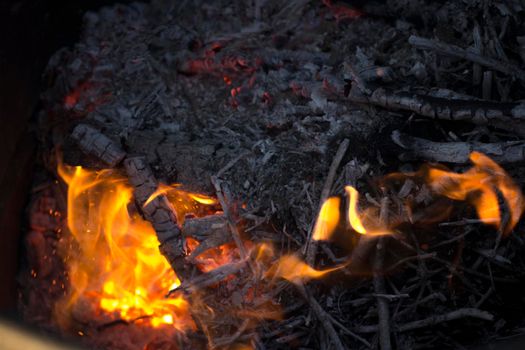 Bright Flames Burning Wood, Dark Background with Black Coal and Ash.