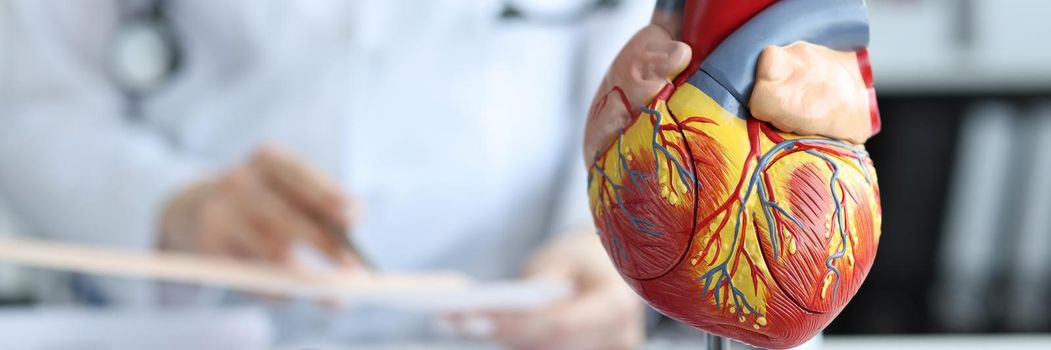 Artificial plastic model of human heart standing against background of cardiologist closeup. Cardiac care concept