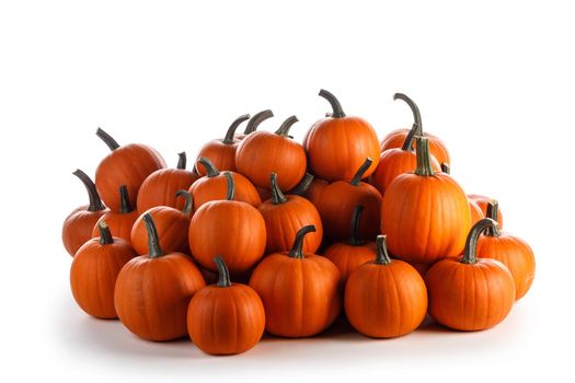 Heap of many orange pumpkins isolated on white background, Halloween day celebration concept, autumn harvest