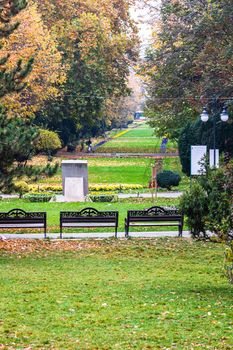 Autumn in a park. Autumn scenery with brown leaves