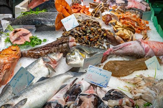 Great choice of fresh fish and seafood for sale at a market