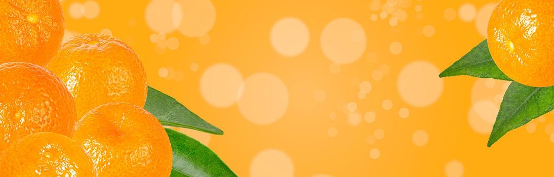 Creative banner with fruit. Tangerines on yellow blurred background. Wide panorama. Copyspace for text