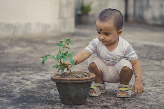 Cute Little baby boy with Flower tub sitting at outdoor.