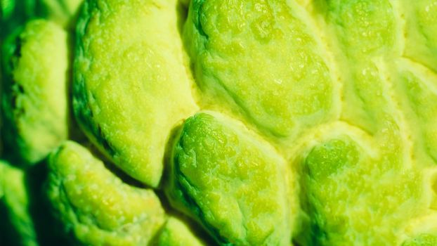 Abstract mystic background beauty nature wallpaper. Real photo close-up macro sugar custard apple annona exotic tropical fruit. Oval scaly skin texture surface rough. Bright yellow green citron color.