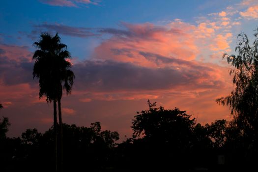 Pink Clouds and lovely sky at Sunset in Alicante in summer