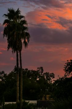 Pink Clouds and lovely sky at Sunset in Alicante in summer