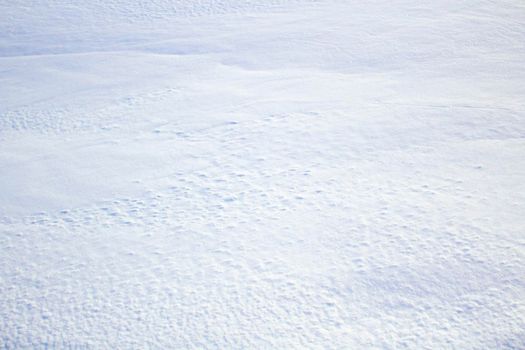 Snow Texture at Sunny day. Neutral solid white background.