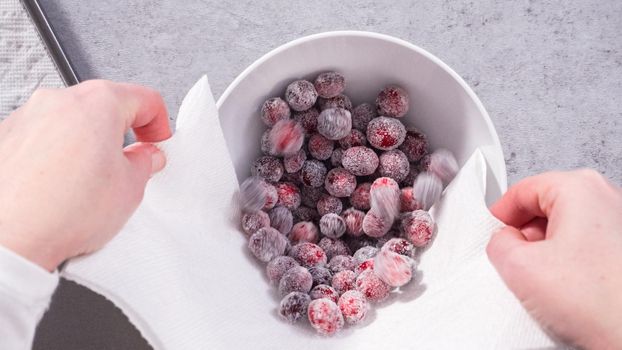 Flat lay. Step by step. Prepating sugar cranberries with organic cranberries and white sugar.