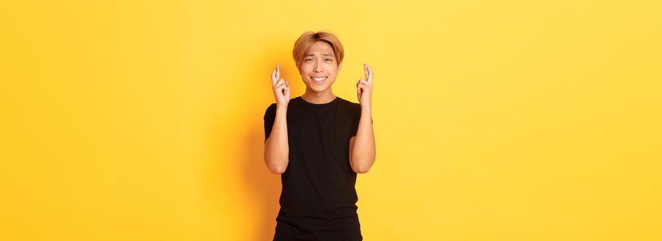Portrait of hopeful worried asian guy, cross fingers good luck, making wish or anticipating, standing yellow background.