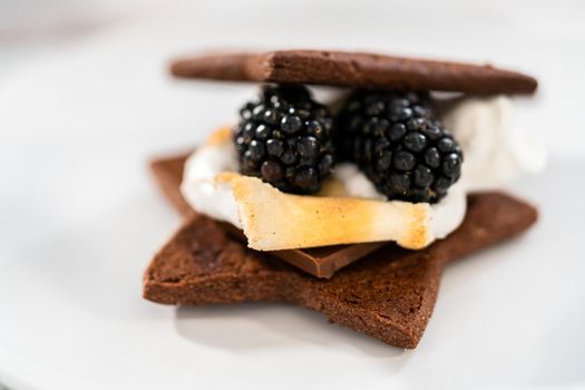 Making s'mores on a homemade star-shaped chocolate graham cracker with toasted marshmallow and fruits.