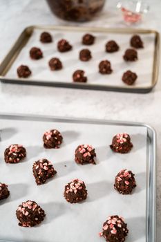 Scooping chocolate cookie dough with dough scoop to bake chocolate cookies with peppermint chips.