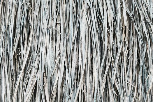 Long dry thin grass, agriculture harvest, pile of hay straw. Texture detail. Association brittle lifeless damage diseased hair. Thatched background wallpaper. Shades of gray brown more tone in stock.